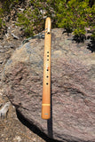 Spanish Cedar & Alaskan Yellow Cedar (738-D)
