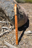 Spanish Cedar & Alaskan Yellow Cedar (738-D)