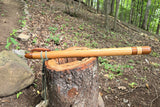Red Alder & Saple-key of D (749-D)