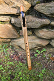Ambrosia Maple-Ash & Ebony (753-E)