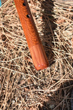 Lacewood & Aromatic Red Cedar-706-F#