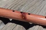 Aromatic Red Cedar (653-C)